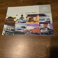 Hyundai Coupe Elantra Accent Matrix Getz Santa Fe H1 Terracan j.Polski 2004