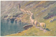 Tatry malował Z.Ćwikliński Powrót Góral z owcami 1941 r.wyd Akropol Kraków
