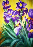 Fioletowe irysy- W.Kowal