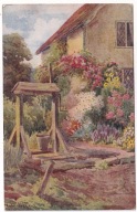 Dom w kwiatach studnia wieś ok.1910r.