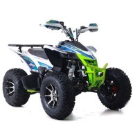 ASIX Inny QUAD ASIX AVATAR 250CM3 Benzyna 24KM