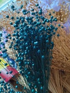 Len naturalny suszony dekoracje zboże susz kwiaty granatowy niebieski