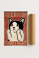 Plakat bez ramy 30x40cm I Do What I Want Kot Napis Humor Śmieszny Design
