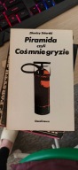 Piramida czyli coś mnie gryzie Dionizy Sidorski