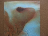 Pink Floyd – Meddle
