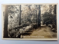 SOBIESZÓW Chojnik Kynast Hirschberg Riesengebirge ============== RZADKOŚĆ