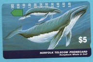 NORFOLK karta tel. FAUNA - NOWA