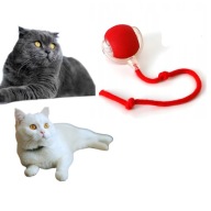 Zabawka interaktywna dla kota SIEMIEC ruchoma piłeczka 3