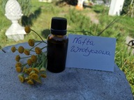 NAFTA WROTYCZOWA ŚWIERZB NUŻYCA ŁUSZCZYCA WSZAWICA