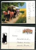 K24626)Karta Zwierzecia: Kon, wyslany