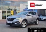 Opel Grandland X 1,2 130KM Enjoy - salon PL, 1 wlasciciel, bezwypadkowy, s