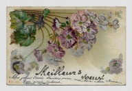 Kwiaty 1904r. Litografia Brokat q033