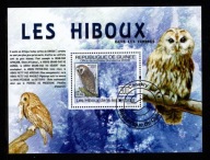 Gwinea / Mini arkusz ( Fauna - ptaki - sowa ) 2009 r.