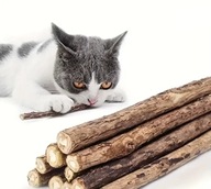 Zestaw 20 zabawek dla kota – naturalny drapak do żucia i drapania