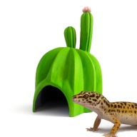 KAKTUS KRYJÓWKA SCHRONIENIE DLA GADA GEKONA WĘŻA TERRARIUM PLA 3D MALOWANA