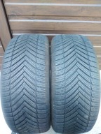 2x opony Minerva All Season Master 225/55 R16 7mm
