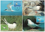 05-MC05- Rep.Benin- WWF,1989-Ptaki-Mewy