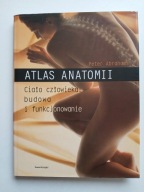Atlas anatomii , ABRAHAMS
