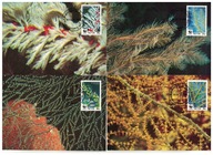 5-MC21-WWF, Nevis, 1994-Koralowce