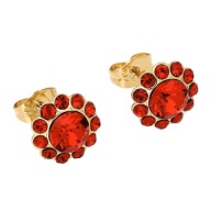 86862 Kolczyki stal chirurgiczna pozłacane 18k SIAM CRYSTAL Swarovski