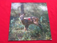 ROSIEWICZ nie kupię dzieciom saneczek POCZTÓWKA DŹWIĘKOWA