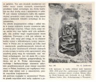 BRZEŚĆ KUJAWSKI ARCHEOLOGIA KONRAD JAŻDŻEWSKI KLUCZBORK ŁÓDŹ