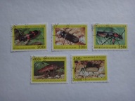 Gwinea 1998, Chrząszcze, owady, fauna