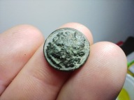 Guzik carski Prima sort Wypukłości Rosja Piechota Carska armia XIX wiek