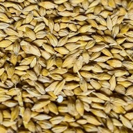 JĘCZMIEŃ dla kur gołębi ZIARNO Karma Suchy 20KG świeżo zbiór 2025