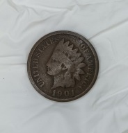 USA - 1 CENT 1901 (1) - INDIANIN - Indian Head