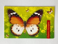 Karnet do kart telefonicznych TP Motyl Danaus chrysippus Kopertka