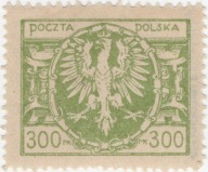 Fi 139c* szarozielony - gwar. Walocha