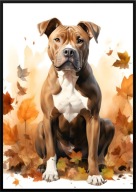 A2 59,4x42 PLAKAT OBRAZ PIES AMSTAFF AMERICAN STAFFORDSHIRE TERRIER, JESIEŃ