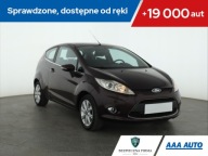 Ford Fiesta 1.25, Salon Polska, Klima