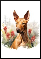A2 PLAKAT PIES W KWIATACH RASA PHARAOH HOUND, PIES FARAONA