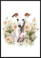 A2 PLAKAT PIES W KWIATACH RASA CHART WŁOSKI