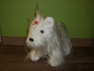 PIES YORKSHIRE TERRIER BIAŁY 25X30X12CM