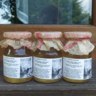 SYROP Z MŁODYCH PĘDÓW SOSNY I LIŚCI SZAŁWII 480 ML ZGODNY Z NATURĄ DOMOWY