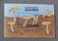 UGANDA CZYSTE , KLEJ