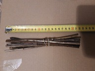 Sztobry Zrzezy śnieguliczka biała 10 sztuk KWITNIE DO JESIENI ule Żywopłot