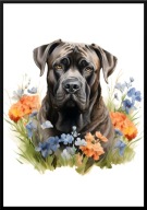 A2 PLAKAT PIES W KWIATACH RASA CANE CORSO