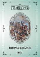 Trębacz cesarski Ossendowski Ferdynand Antoni