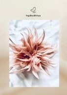 Broszka z gęsich piór pudrowy róż