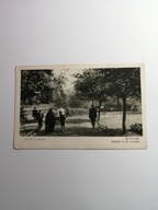 KATOWICE 1930- OGRÓD NA PLACU MIARKI- FOT. DR. T. CYPRIAN