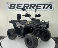 Berreta Mikilon 125 Quad Berreta Mikilon 125 MKX Benzyna