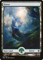 Karta Magic: The Gathering Forest 280 FullArt ZNR
