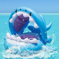 KÓŁKO DO PŁYWANIA DMUCHANE WODY MATERAC PONTON Z DASZKIEM PONTONIK DZIECI
