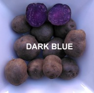 DARK BLUE ZDROWE SUPER FIOLETOWE NIEBIESKIE ZIEMNIAKI 2KG