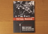 1918 powstanie wielkopolskie - Jarosław Giziński