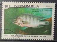 Ryby (kas) - luzak - do uzupełnień 13/8